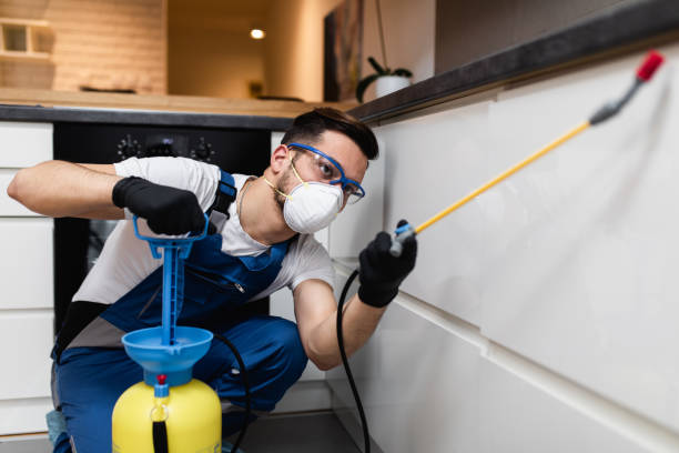 Best Pest Control for Homes  in Tower City, PA