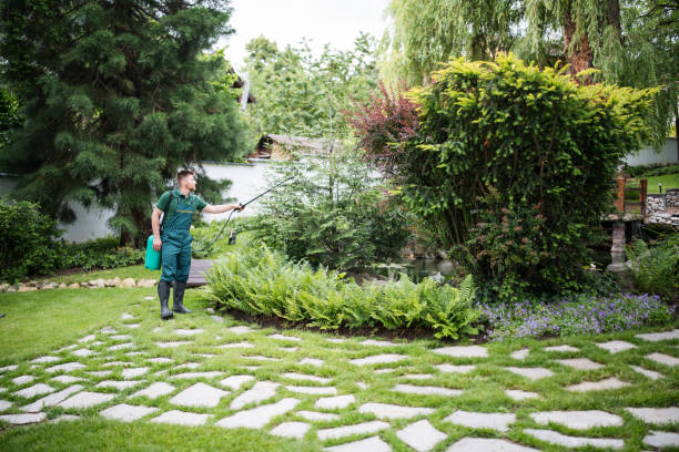 Best Ant Control Services  in Tower City, PA