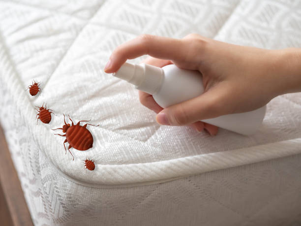 Pest Control for Restaurants in Tower City, PA