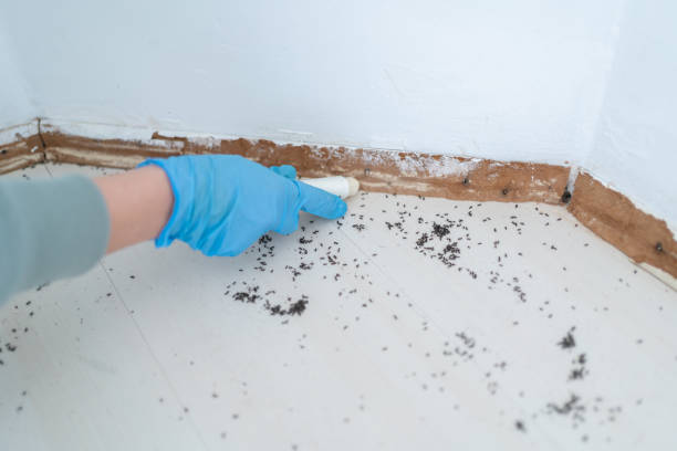 Reliable Tower City, PA Pest Control Solutions